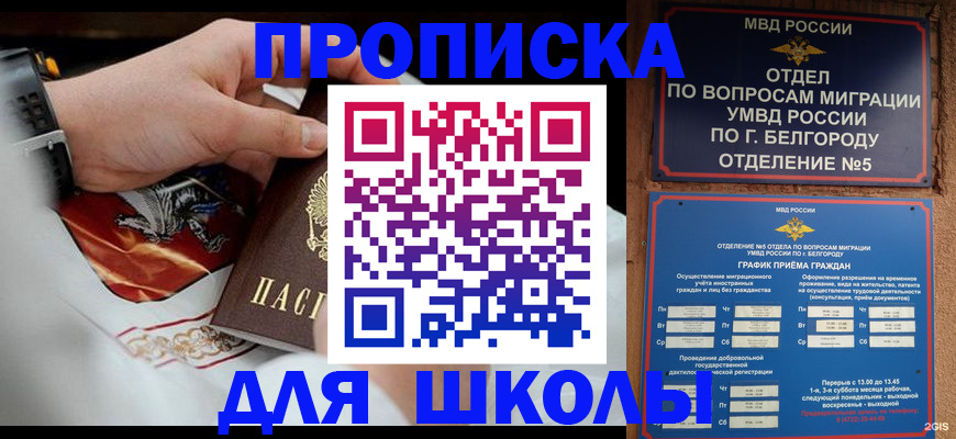 пропишу в квартире в Домодедово
